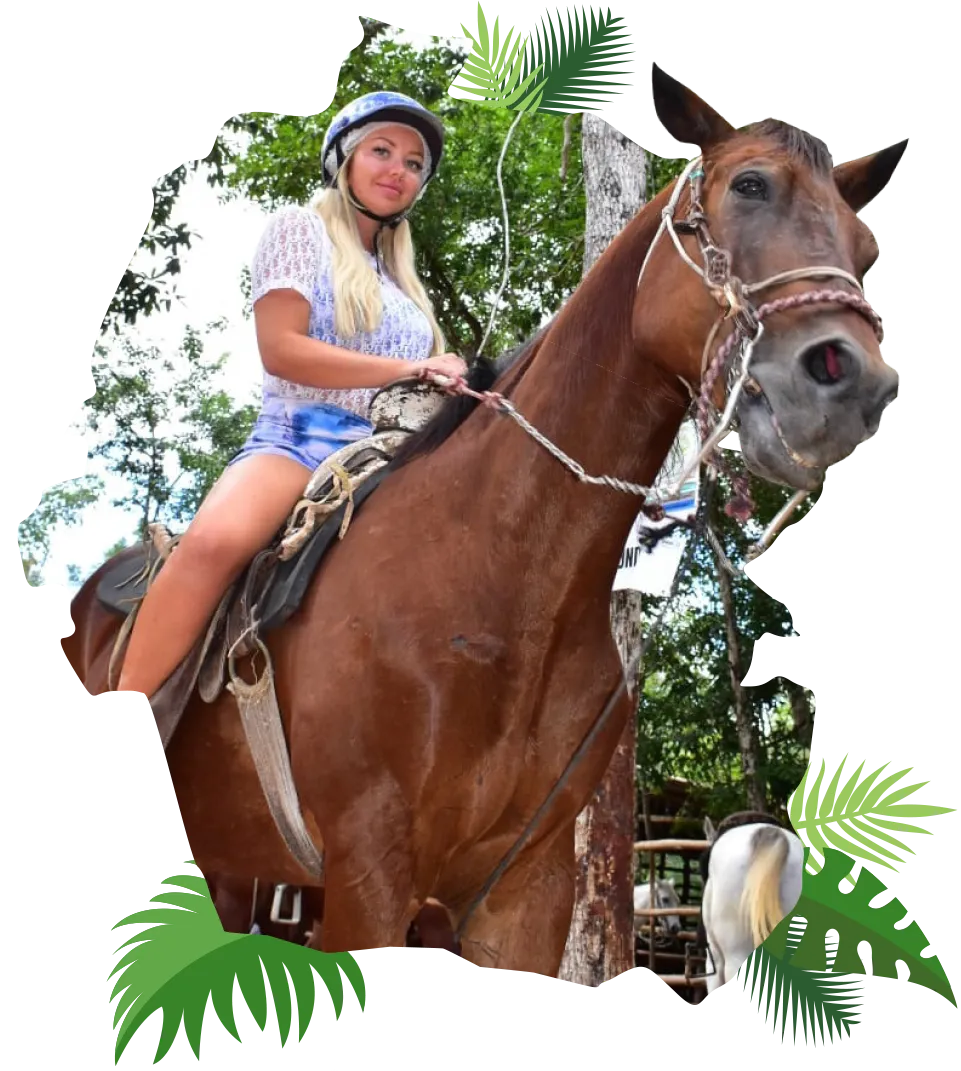 CABALLO